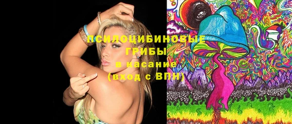 марки lsd Белокуриха
