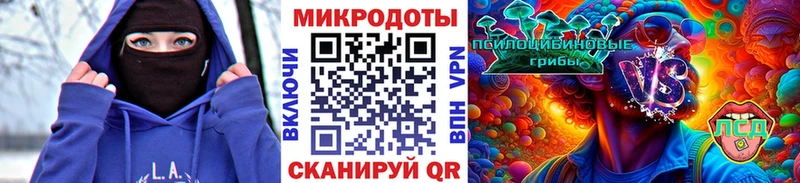 хочу наркоту Староминская Псилоцибиновые грибы Magic Shrooms